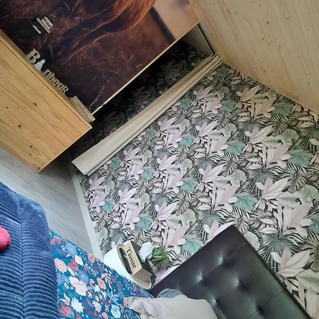 Tiny House Au Bord De L Eau * Litteau